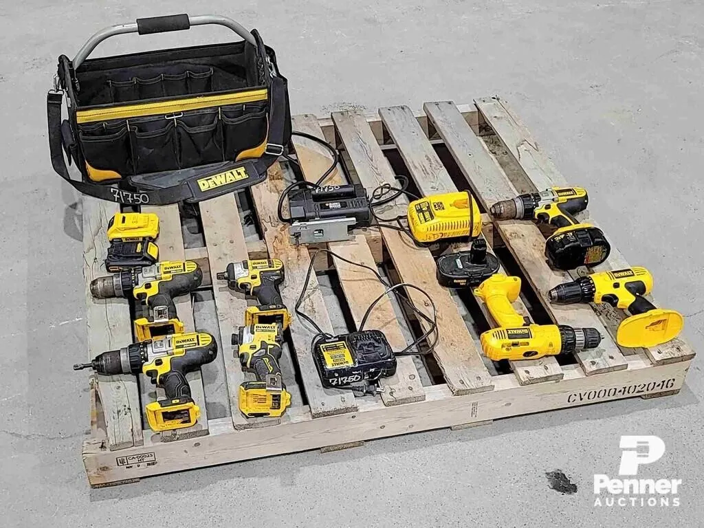 DeWalt 18 / 20V Cordless Tools w/ Bag