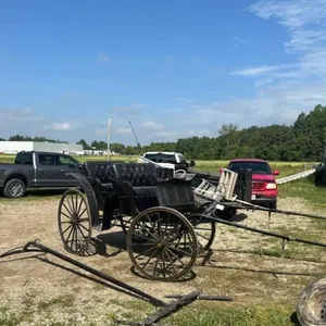 MCLAUGHLIN CARRIAGE CO. TWO SEATER BUGGY