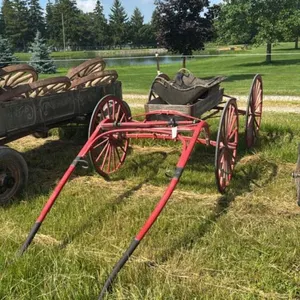 PAINTED BUGGY