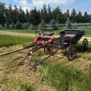 SINGLE SEAT BUGGY