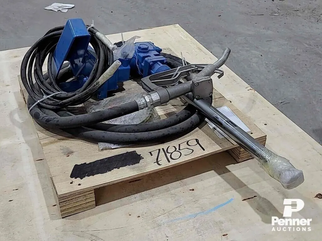12V Diesel Transfer Pump w/ Hose