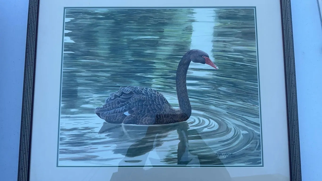 Paul Lalande Framed Painting of Black Swan, 20.5x16.5" Artwork