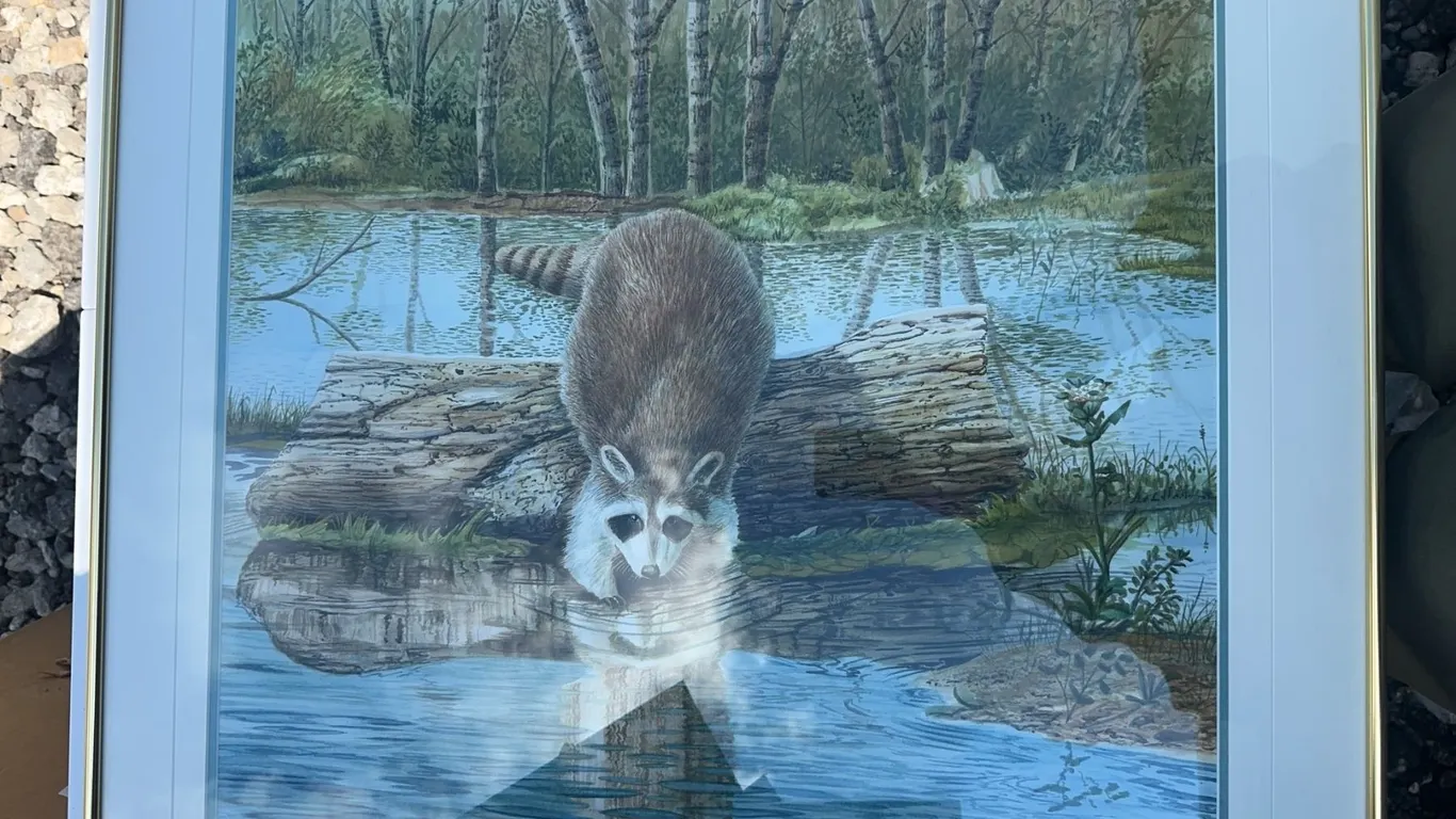 Paul Lalande Signed Raccoon Painting, 22x20, Framed 28x26.5