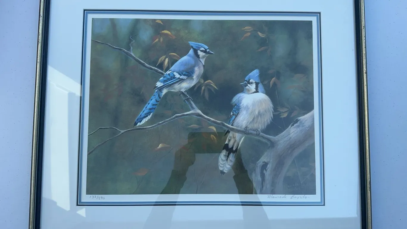 Maureen Baynton Blue Jays Print, Signed, 133/390, Framed, 24.5x21"