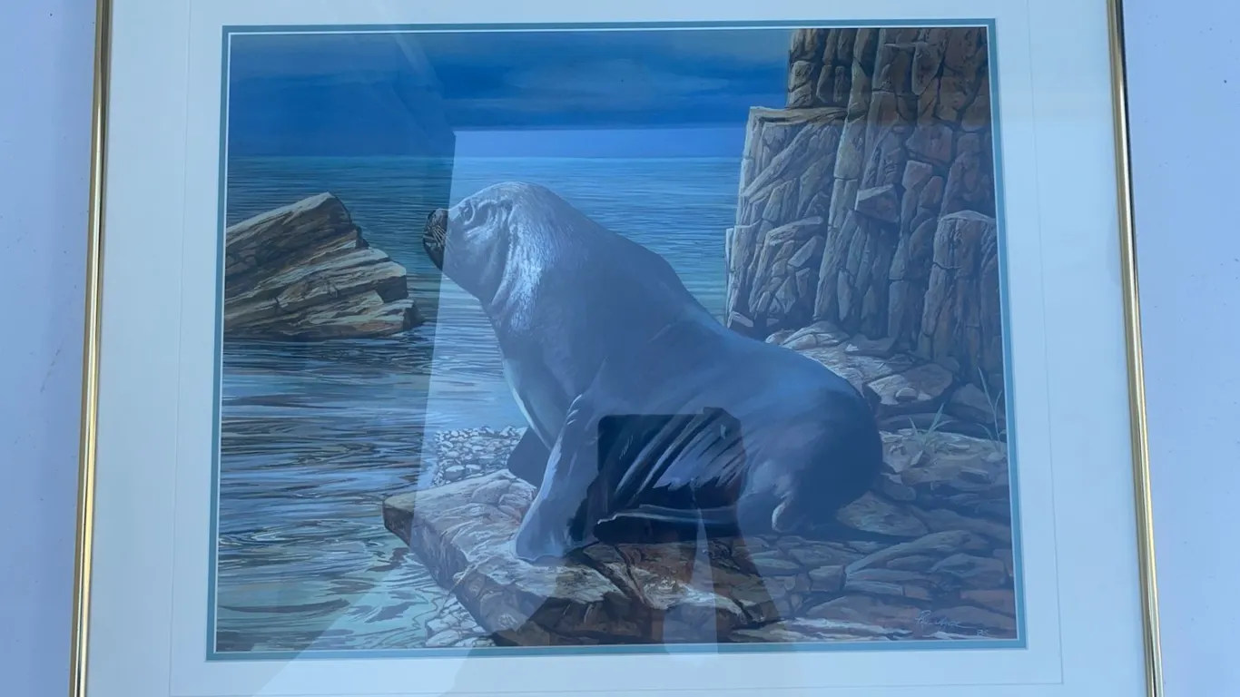 Paul Lalande 1985 Framed Sea Lion Artwork, 26" x 22" Frame