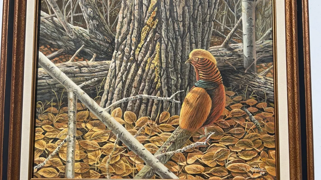 Signed 1986 Original Wildlife Painting, 23.5” x 19.5” Art, 32” x 28” Frame