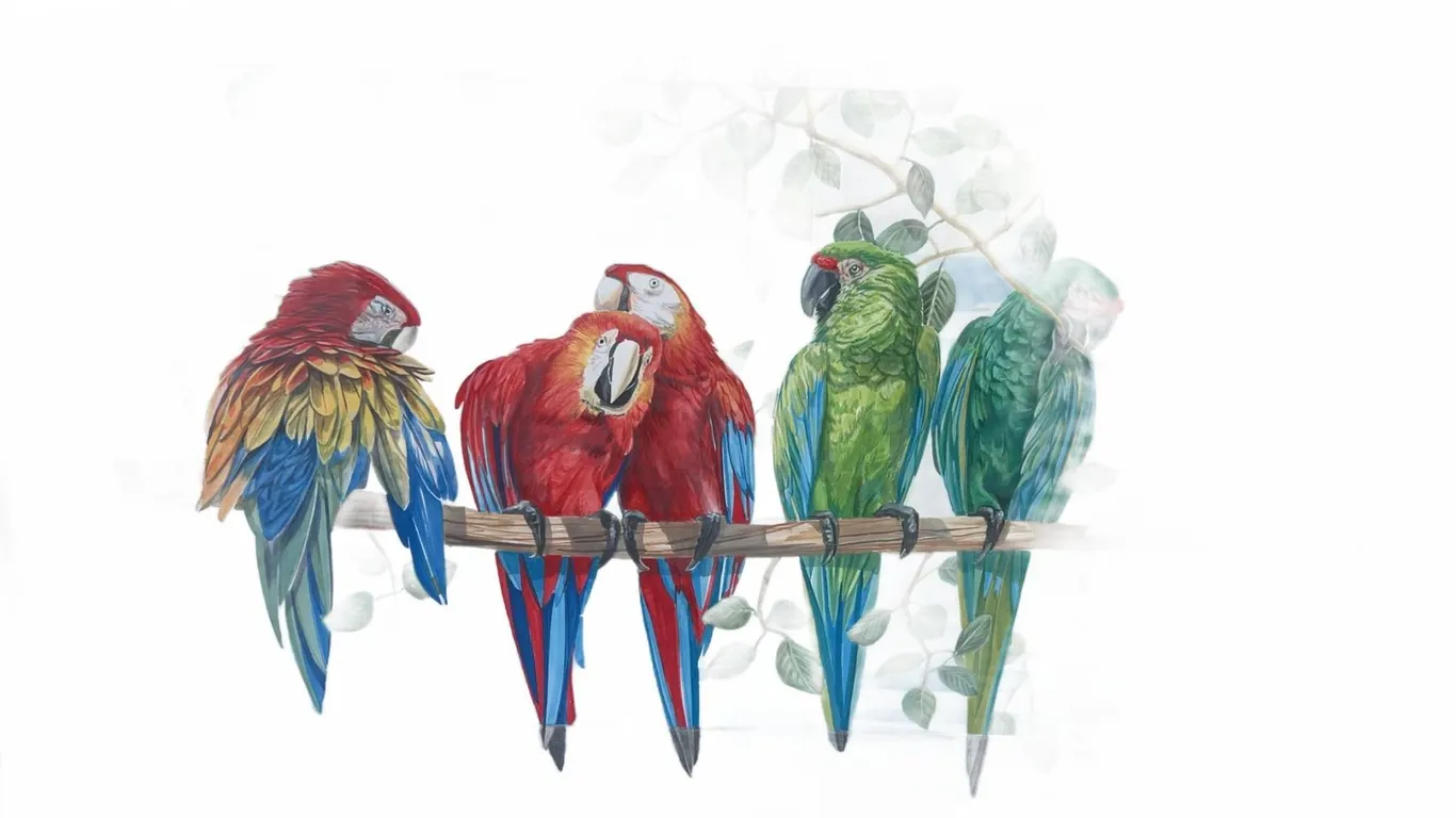 Framed Paul Lalande Parrot Painting, 33.5"x32" Artwork, 38"x26" Frame