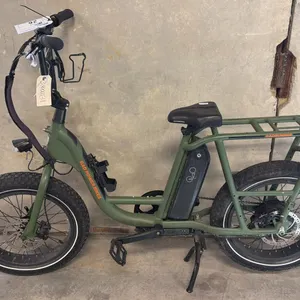 RAD POWER BIKES RADRUNNER 1 SPEED GREEN ELECTRIC BICYCLE *HAS BATTERY, NO KEY, NO CHARGER*