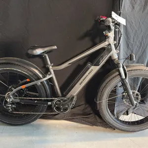 RAD POWER BIKES RADROVER PLUS 7 SPEED GREY ELECTRIC BICYCLE *WITH BATTERY, NO KEY, NO CHARGER*