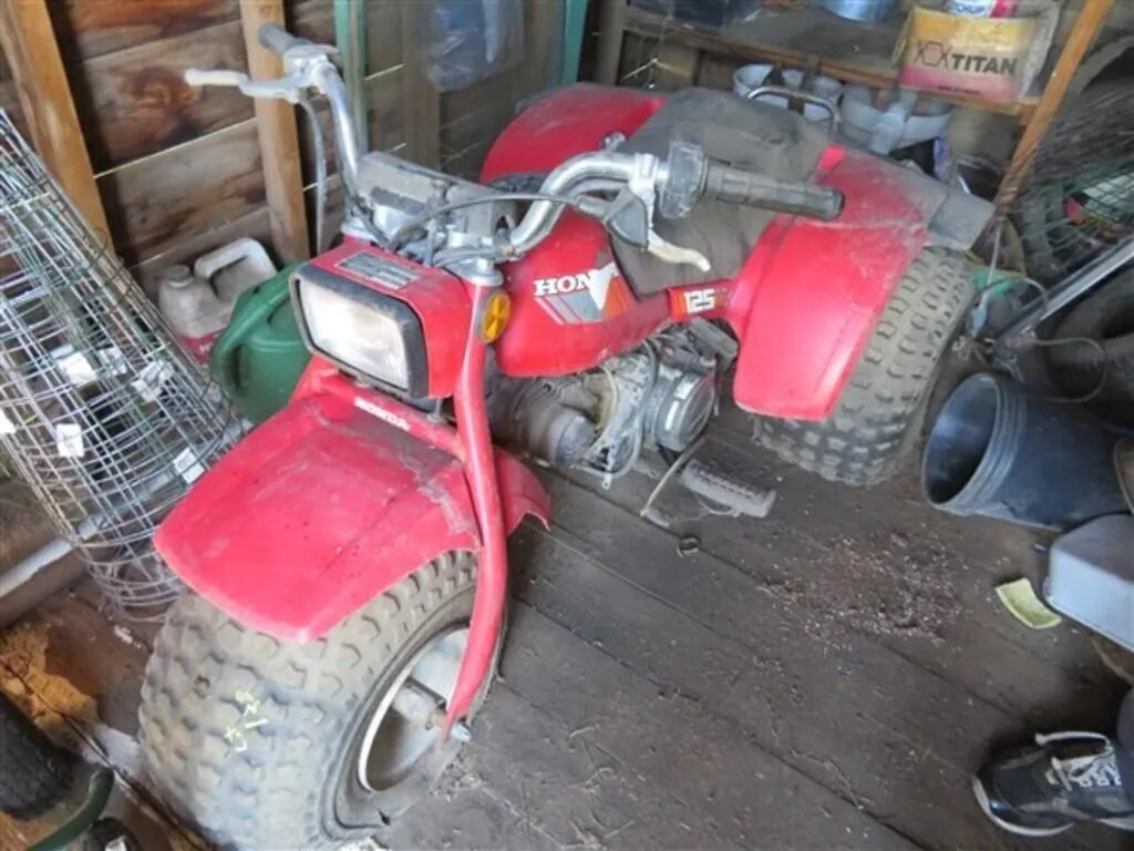 Honda 125 3-Wheeler