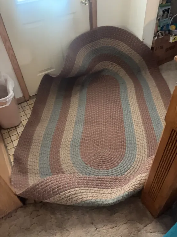 OVAL AREA RUG