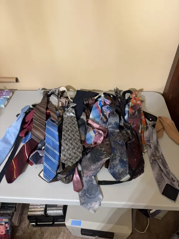SEVERAL MENS TIES
