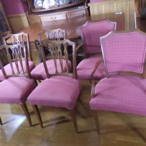 French Empire Style Dining Chairs
