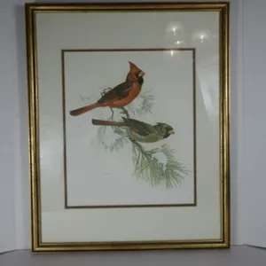 Framed Wildlife Wall Art