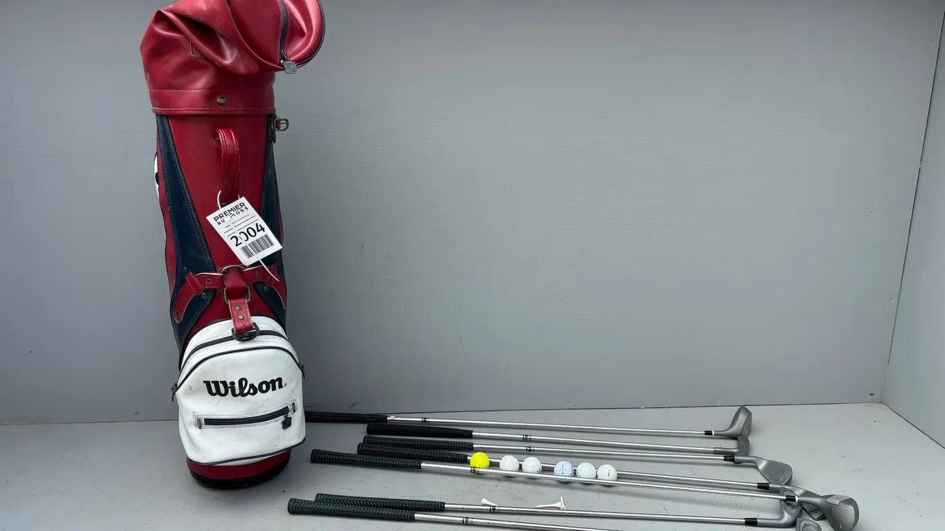 Wilson Golf Bag