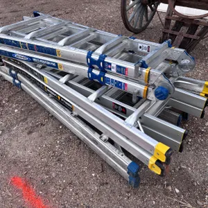 (3) EXTENDABLE LADDERS