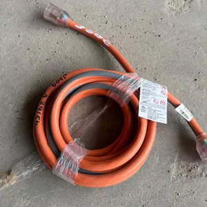 RIDGID 25 POWER CORD