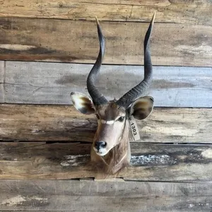 Bush Buck mount