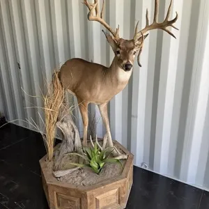 Half White Tail Pedestal mount