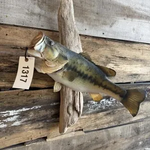 Black bass mount