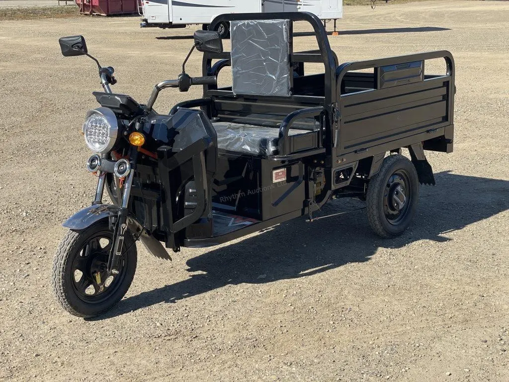 2026 Unused ET13 Black Electric Tricycle