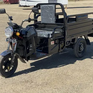 2026 Unused ET13 Black Electric Tricycle