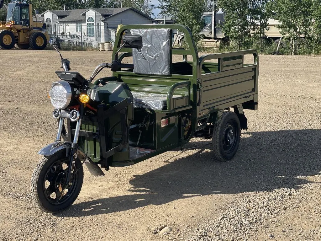 2026 Unused ET13 Green Electric Tricycle