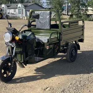 2026 Unused ET13 Green Electric Tricycle