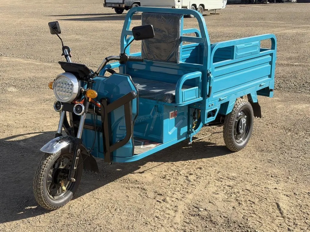 2026 Unused ET13 Blue Electric Tricycle