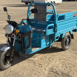 2026 Unused ET13 Blue Electric Tricycle
