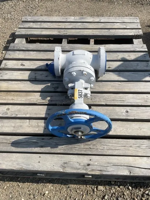 2023 Meridian 3 Inch Valve