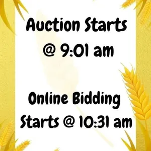 Info