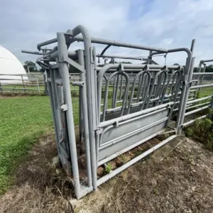 WW? Cattle Chute