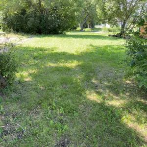 223 Avenue Road