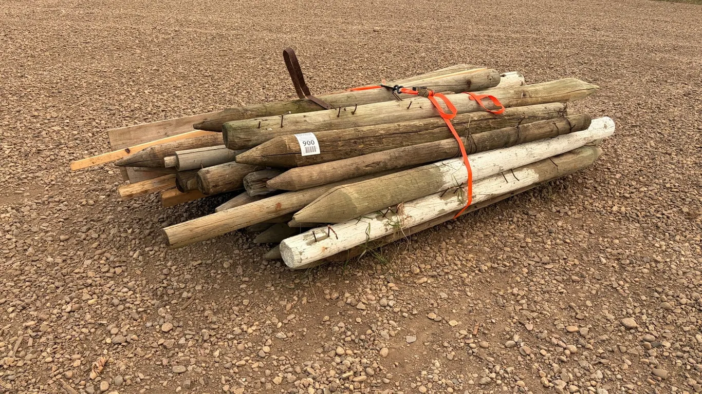 Assorted Fence Posts