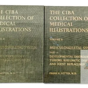 Vintage First & Second Editions : The CIBA Collection of Medical Illustrations Volume 8, Musculoskeletal System Parts 1 & 2 by Frank H. Netter