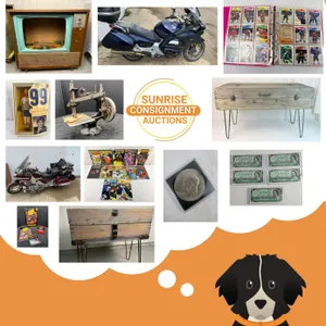Consignment Online Auction