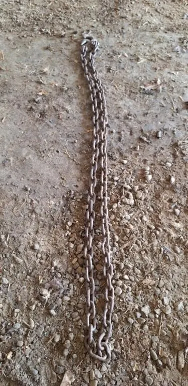10' chain