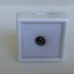 New 3.9 Carat Natural Star Ruby - Untreated