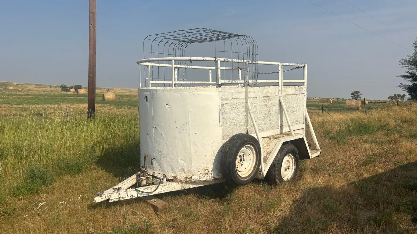 1970 Homemade Trailer