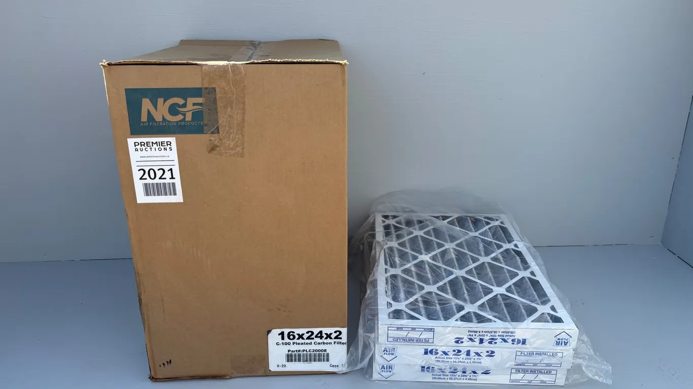 (12) C-100 Pleated Carbon Filters