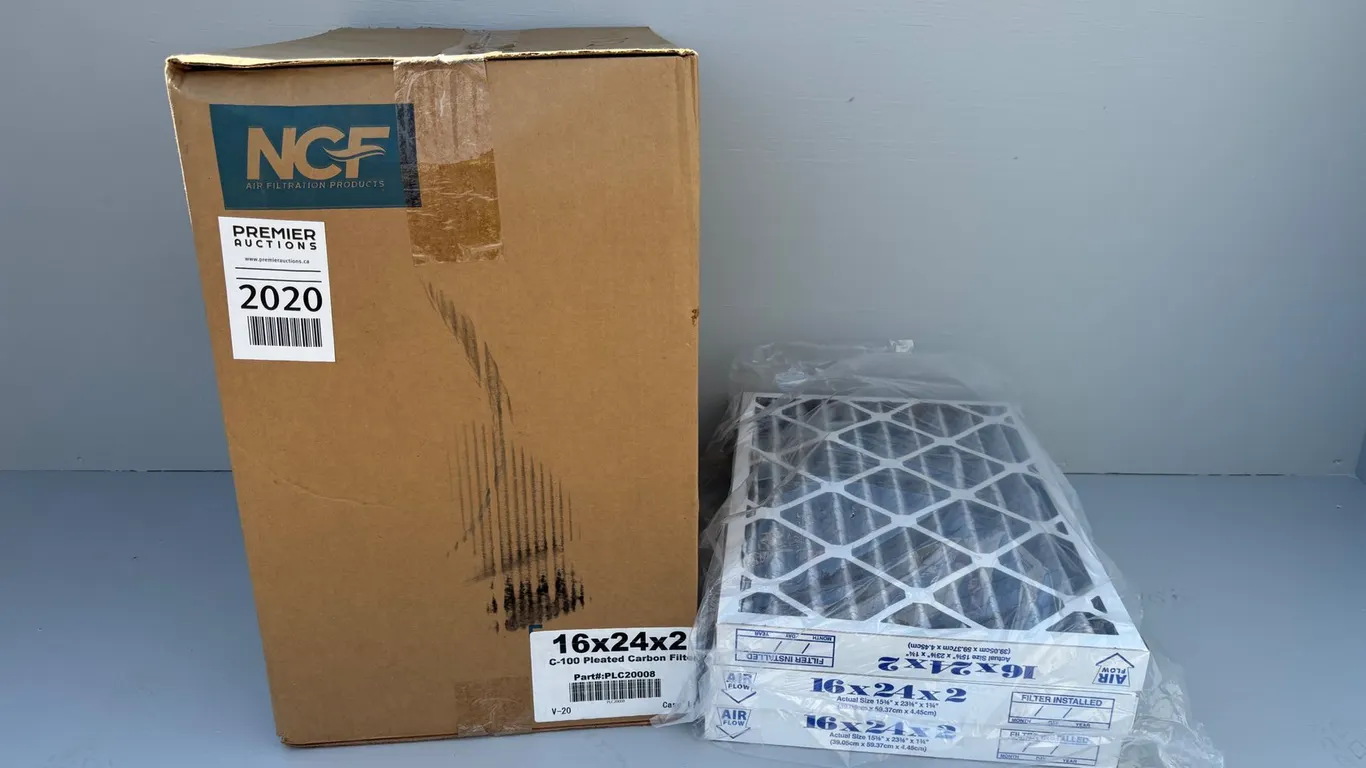 (12) C-100 Pleated Carbon Filters