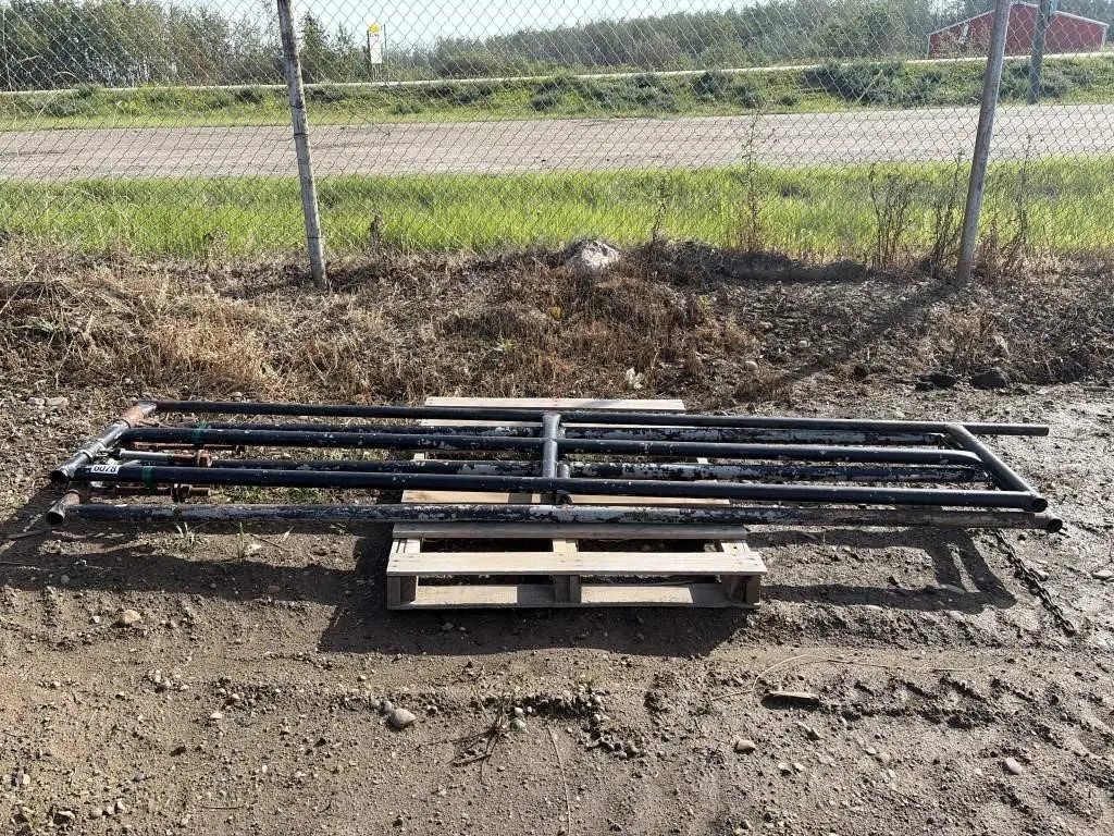 Two Gates - 10 Ft