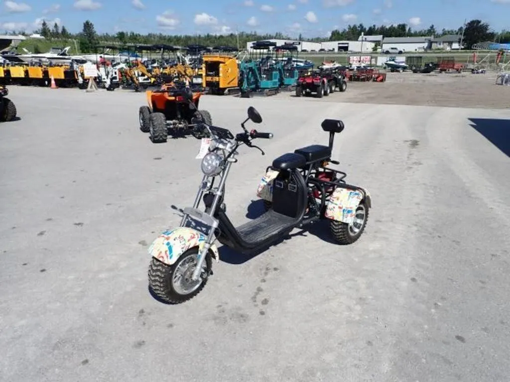 2024 Shansu YouPi 60V Electric Tricycle R36CP3010R