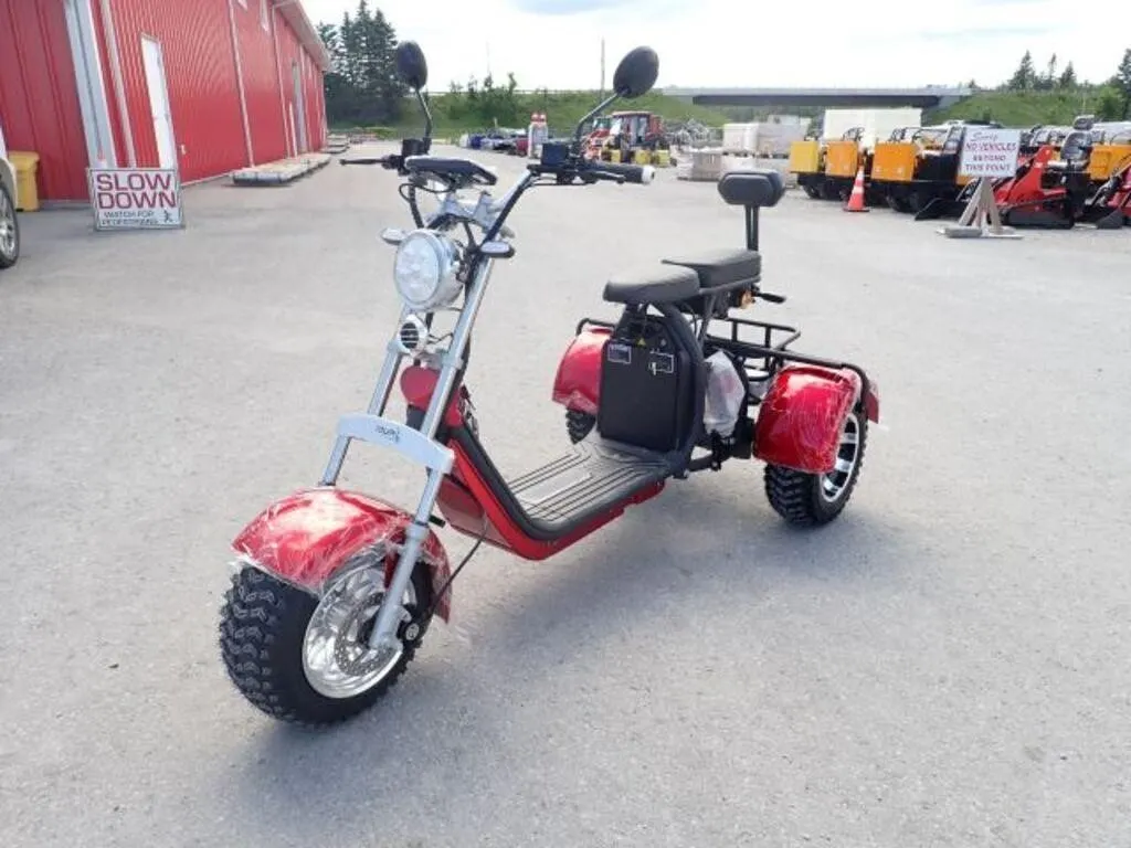 2024 Shansu YouPi 60V Electric Tricycle R36CP3010R