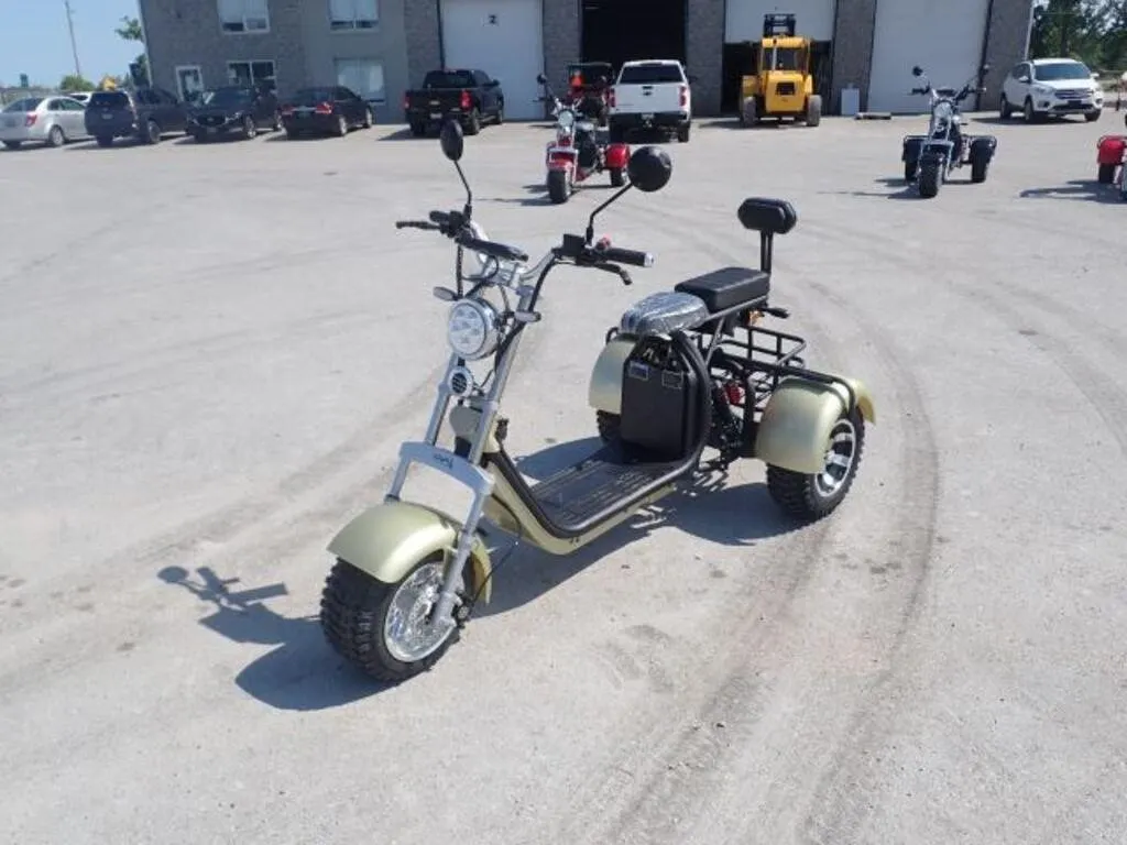 2024 Shansu YouPi 60V Electric Tricycle R36CP3010R