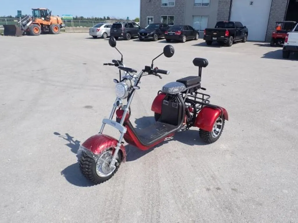 2024 Shansu YouPi 60V Electric Tricycle R36CP3010R