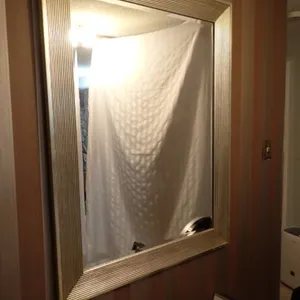 Silver-Tone Wall Mirror