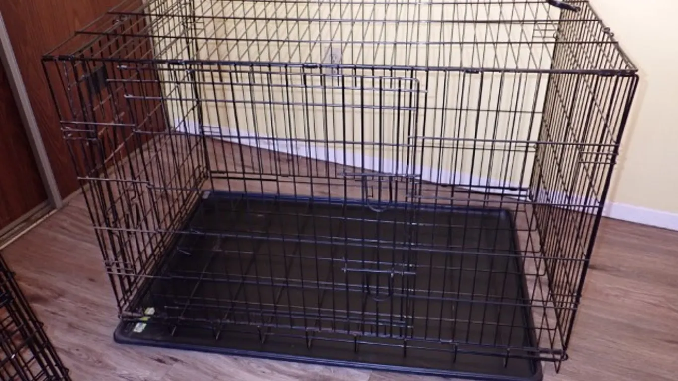 Dog Crate #1