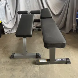 Parabody Flat Bench and Adjustable Bench